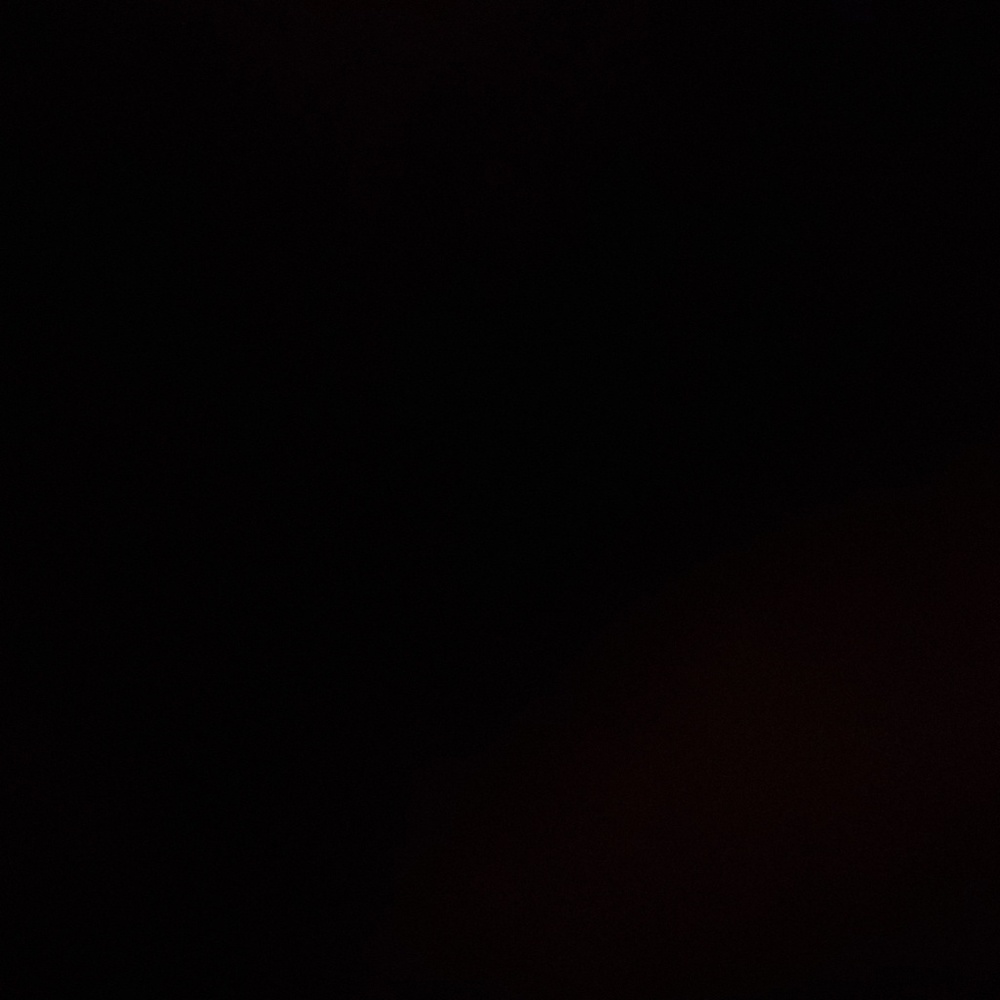 Meet your Posher, Madi